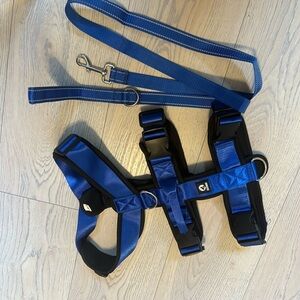 3 Point Safety Harness & Leash Set